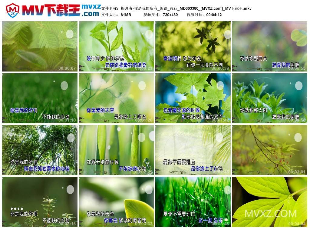 梅惠贞-你是我的所有_国语_流行_MD303380